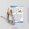 طرح لایه باز تشخیص و درمان بیماری از روی زبان به روش طب سنتی - Image 2